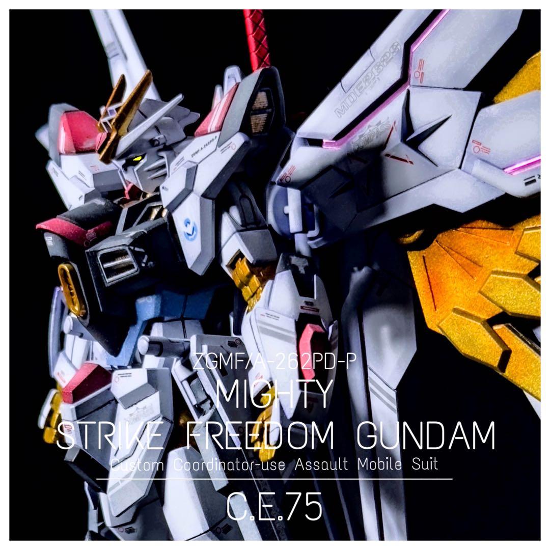 HG マイティーストライクフリーダムガンダム グラデーション塗装 塗装済み完成品