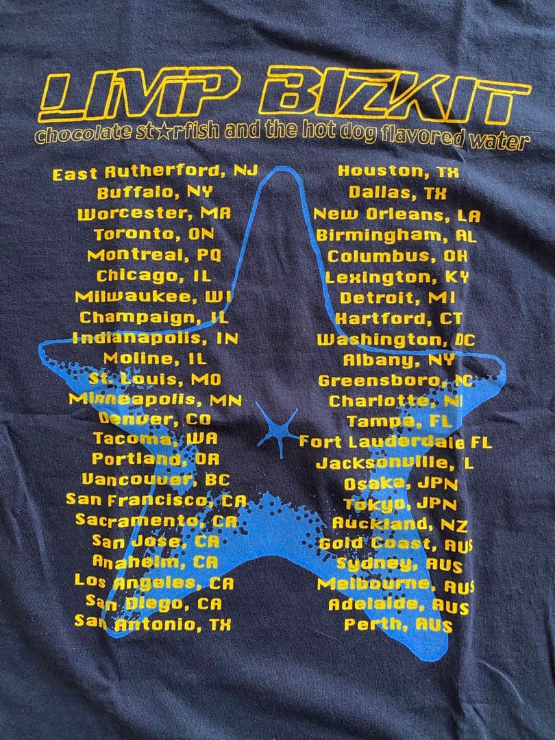 LIMP BIZKIT 2000年 ツアー　Tシャツ