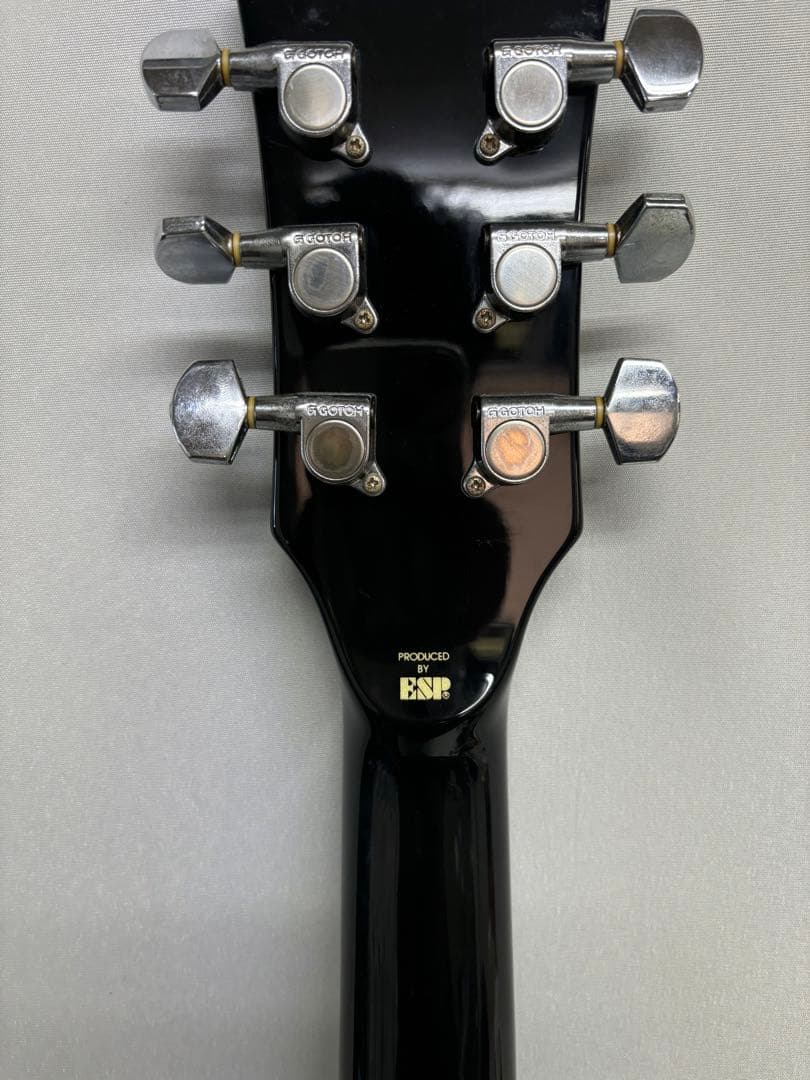 希少　EDWARDS エドワーズ　E-I-85LP ルナシー イノランモデル