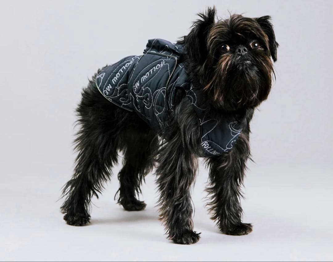 犬服・アクセサリー AIR LINER + POCKET SET COSMIC 4L