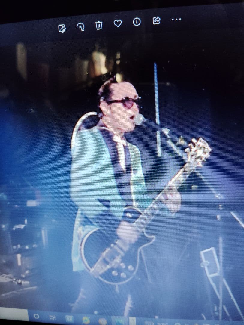 フリル付き白い服のチワワ