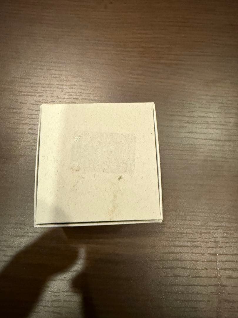 Vivienne Westwood ピアス両耳