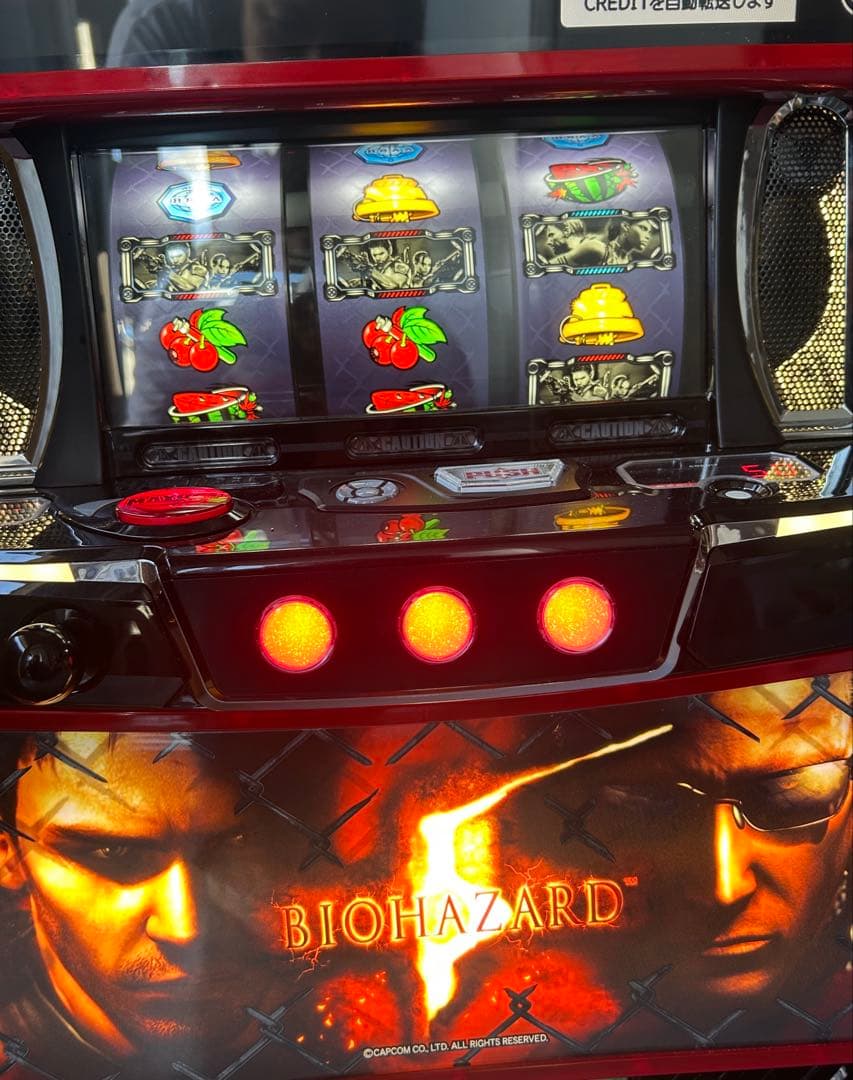 データカウンター対応　Lバイオハザード5ZE 家庭用改造済み　送料込み