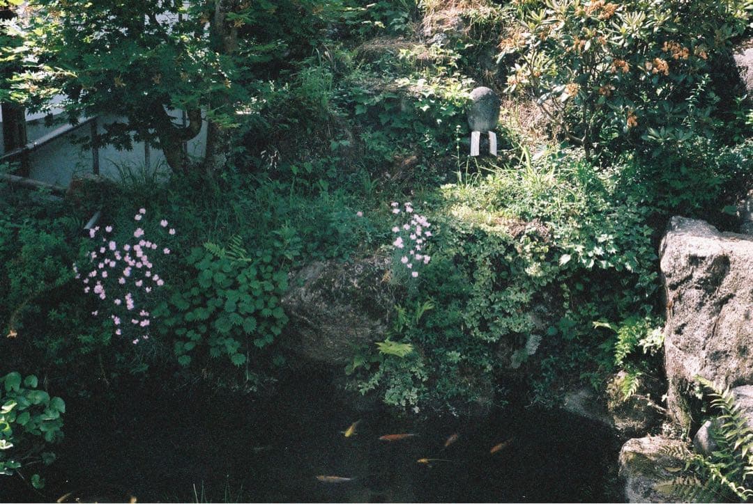 【希少ドイツ製】 Rollei ローライ 35 Tessar レンズ 作例あり