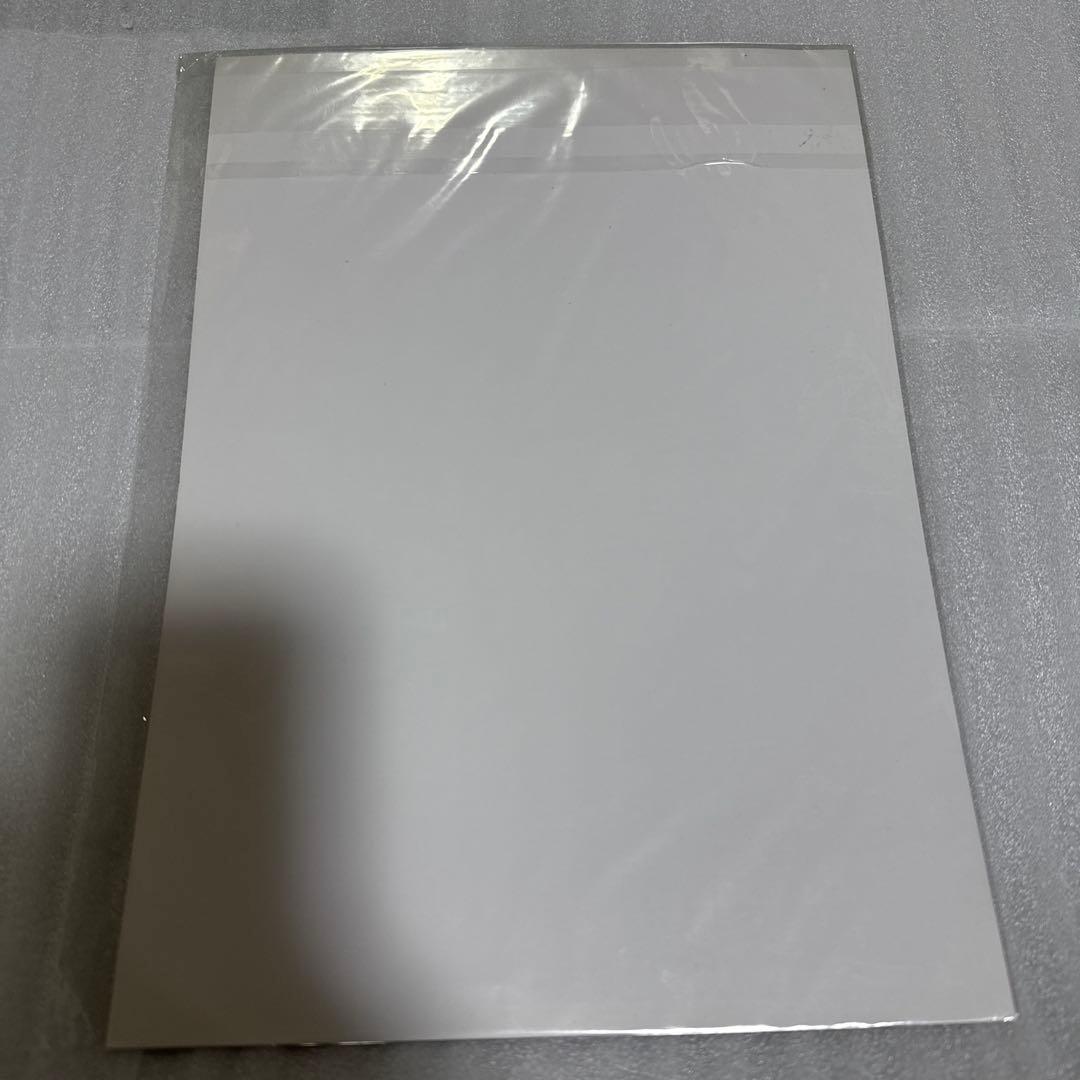 ワンピース アニメイト 特典 ピンナップ 激レア