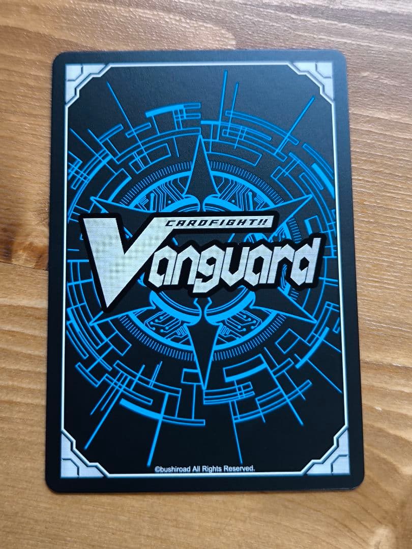 ヴァンガード スノウスキップ パルヴィ TGR+