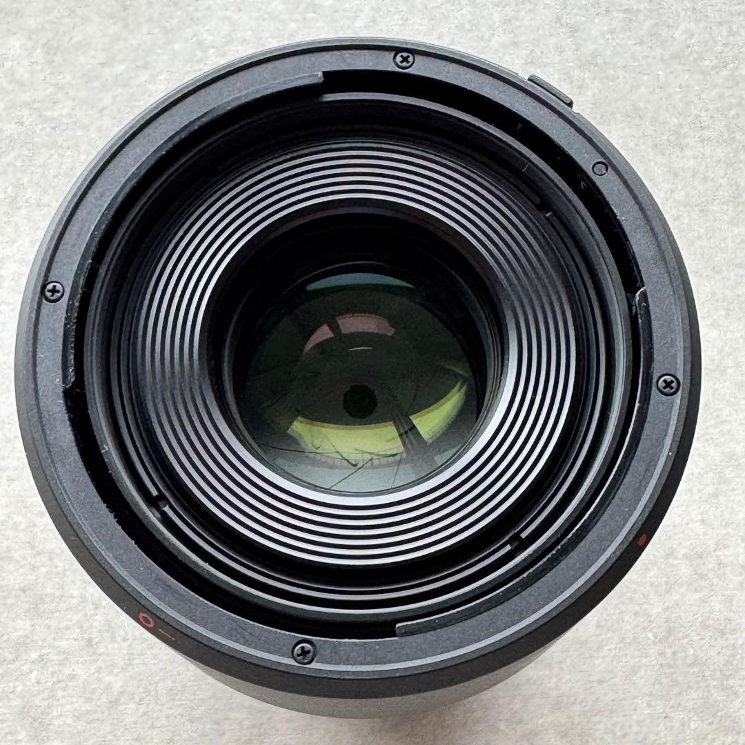 レンズ(単焦点) Canon RF 100mm F2.8 L MACRO IS USM