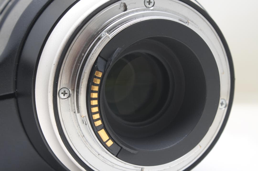 SP 150-600mm F5-6.3 Di VC USD G2 キヤノン