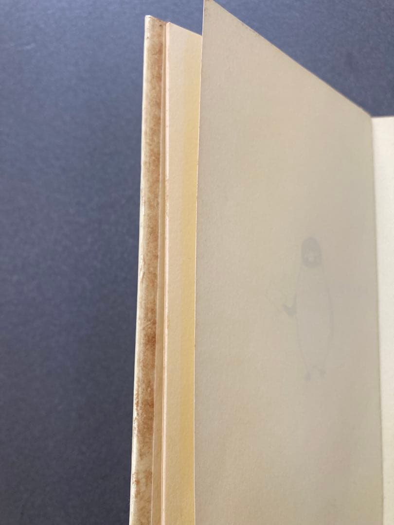 Suica イオカード　非売品　未使用　JR東日本