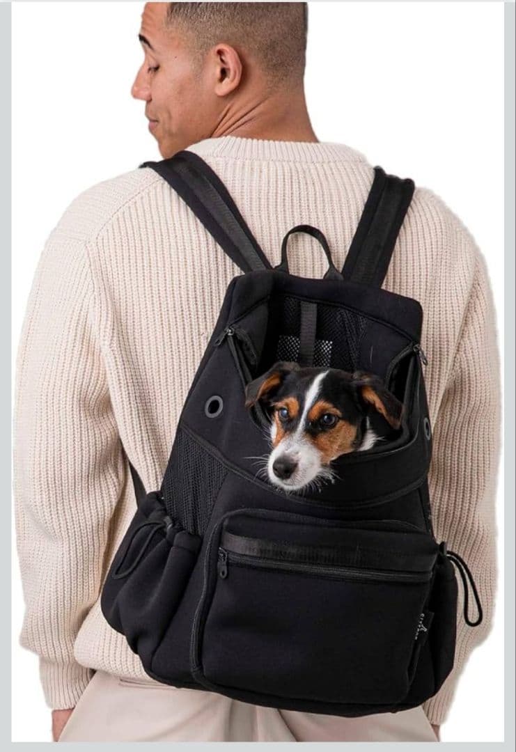 citydog　Ｍサイズ　 ネオプレーンバックパックキャリー　黒色