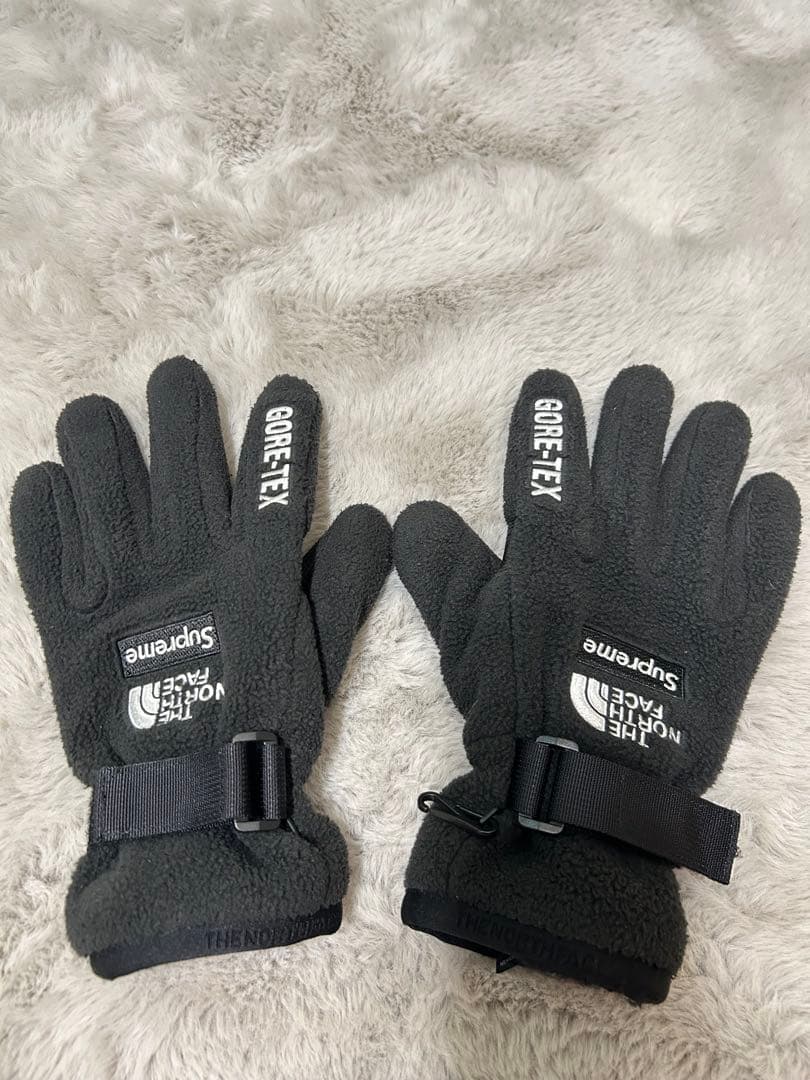 Supreme × THE NORTH FACE 手袋GORE-TEX RTG