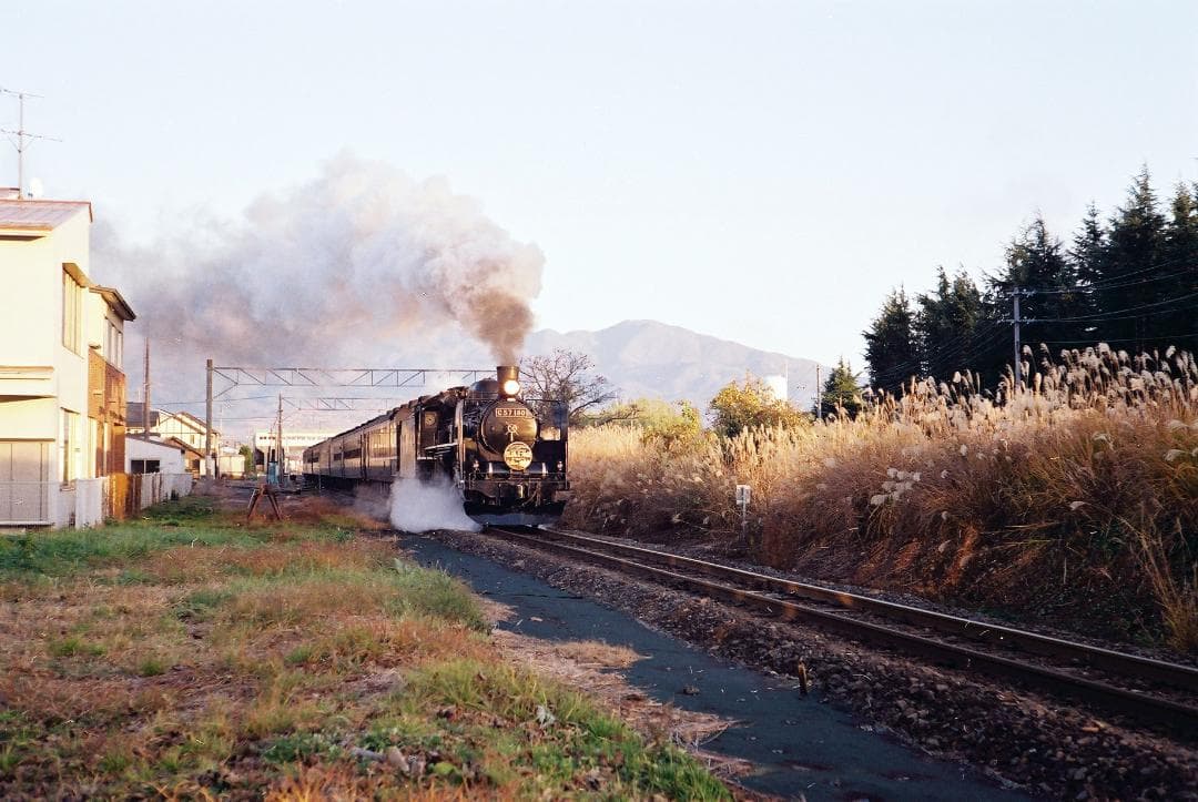 【実写確認整備品】キャノン L2／50㎜f2.8ゼブラ・フード付