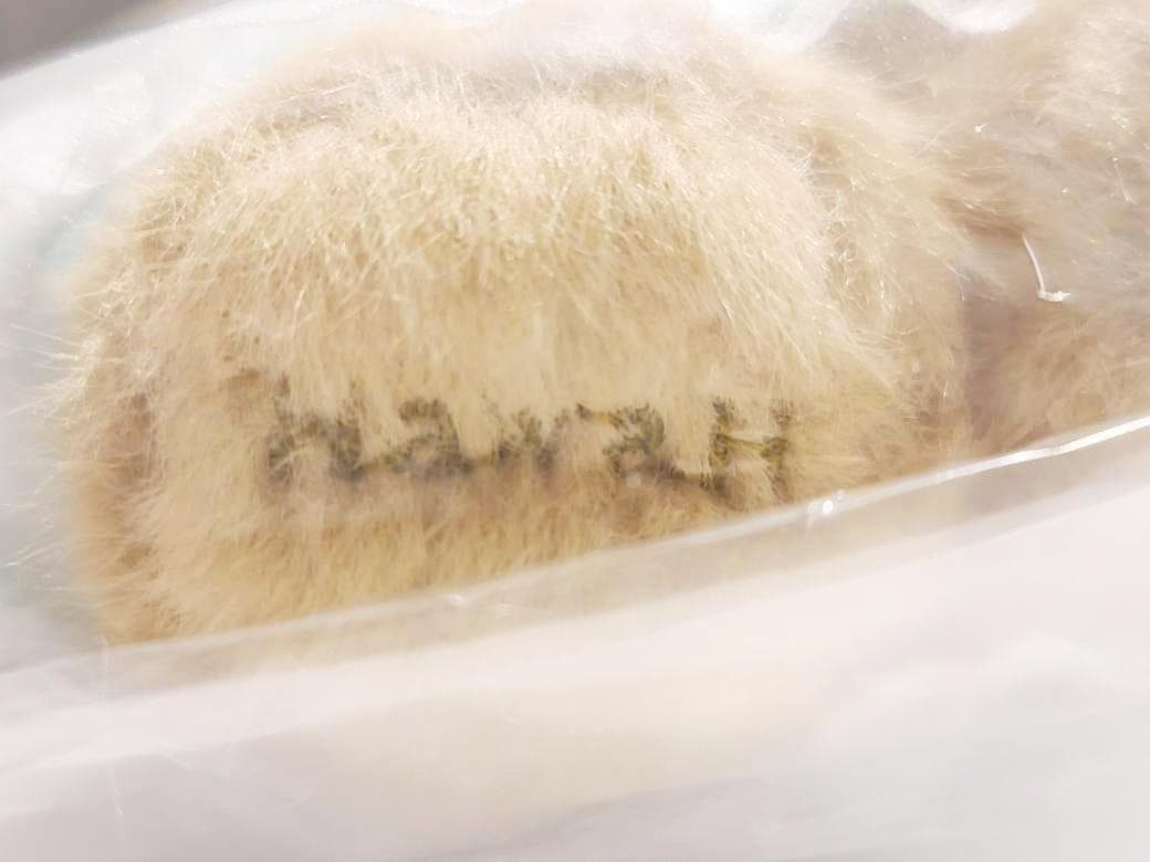 ハワイ限定　日焼け キティちゃん　ぬいぐるみ　カハラホテル ロゴ入り