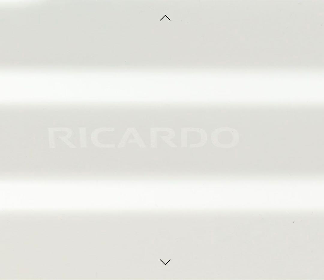 未使用　RICARDO 別注キャリーケース