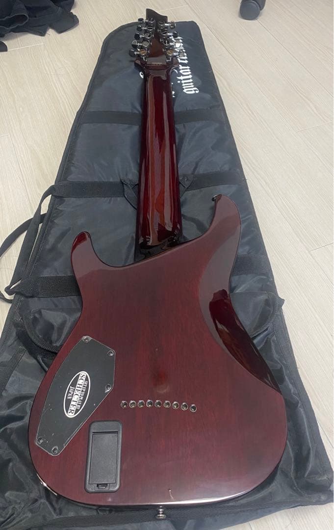 Schecter　HELLRAISER C-9 BCH
