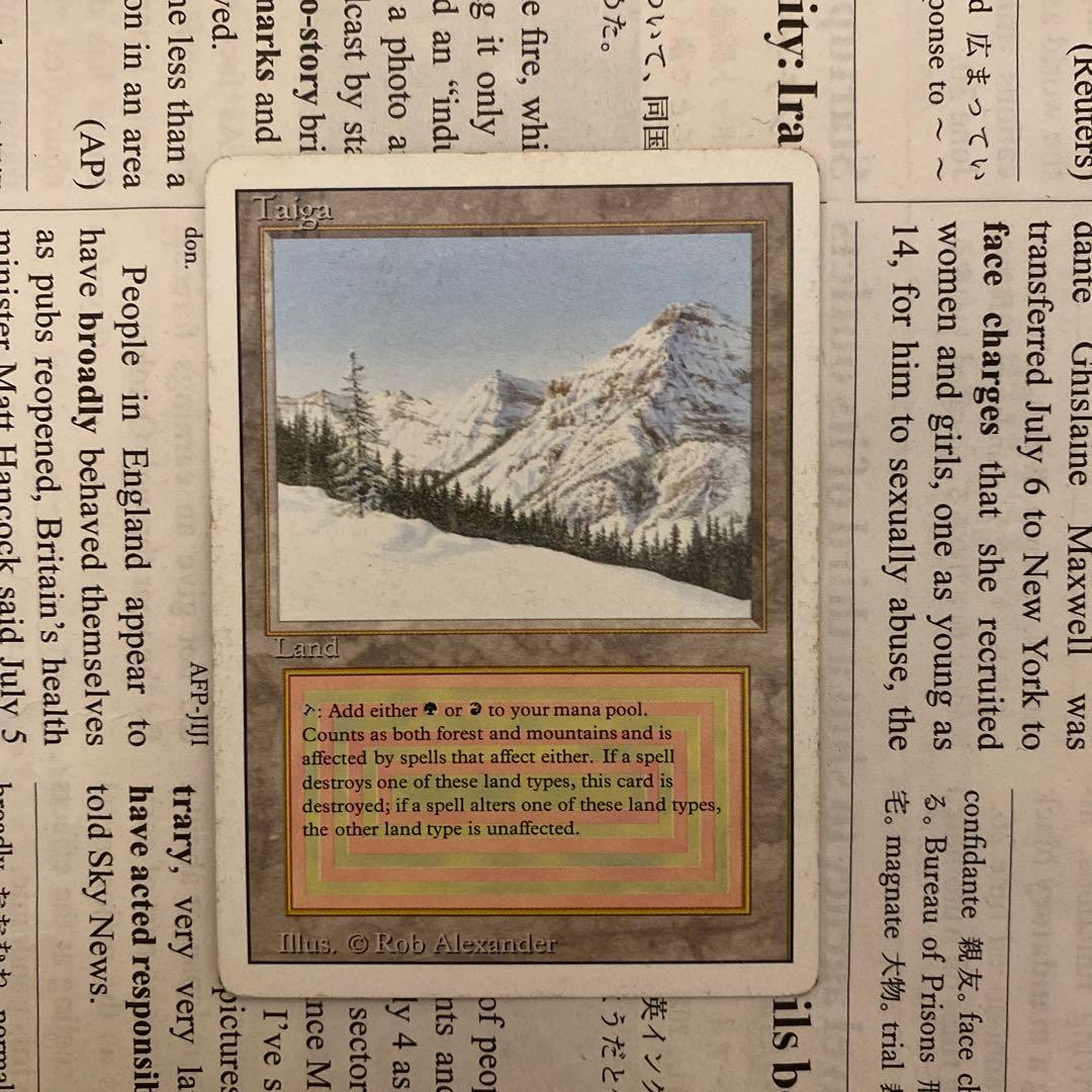 MTG Taiga 英語　デュアルランド