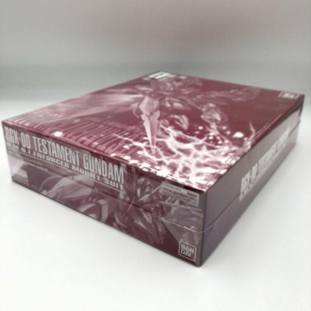 MG ZGMF-X12A/RGX-00 テスタメントガンダム ASTRAY