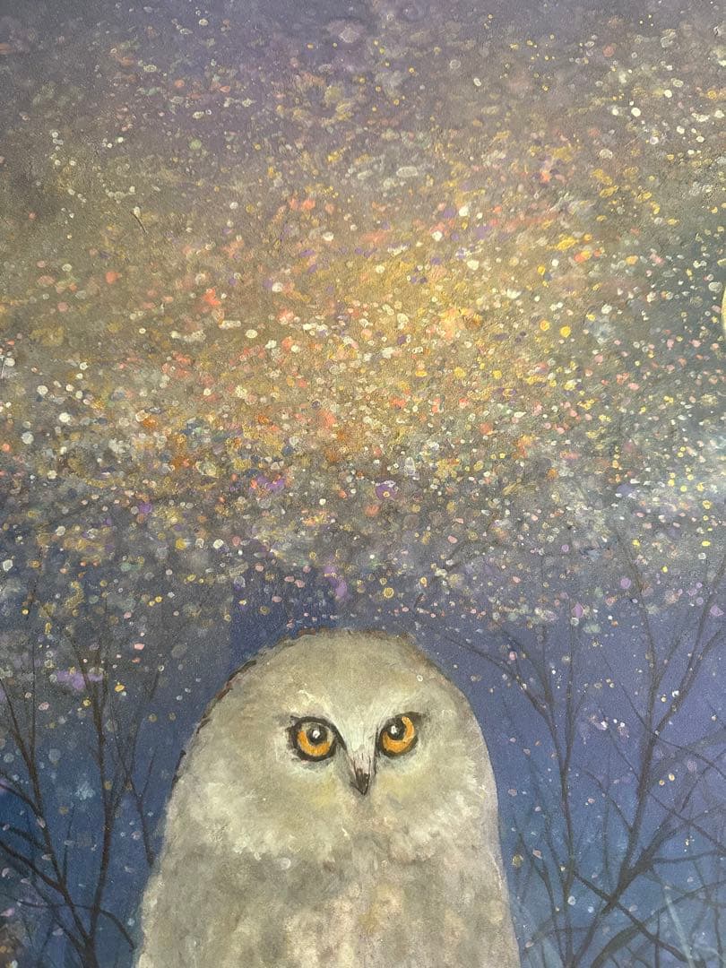 真作保証　木村圭吾 [煌めく銀河] 20号　共シール 日本画