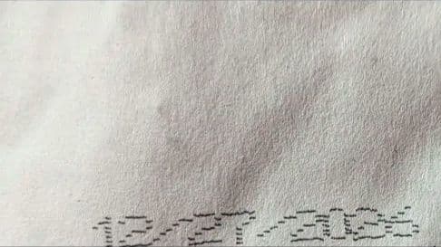 ドッグフード Nao