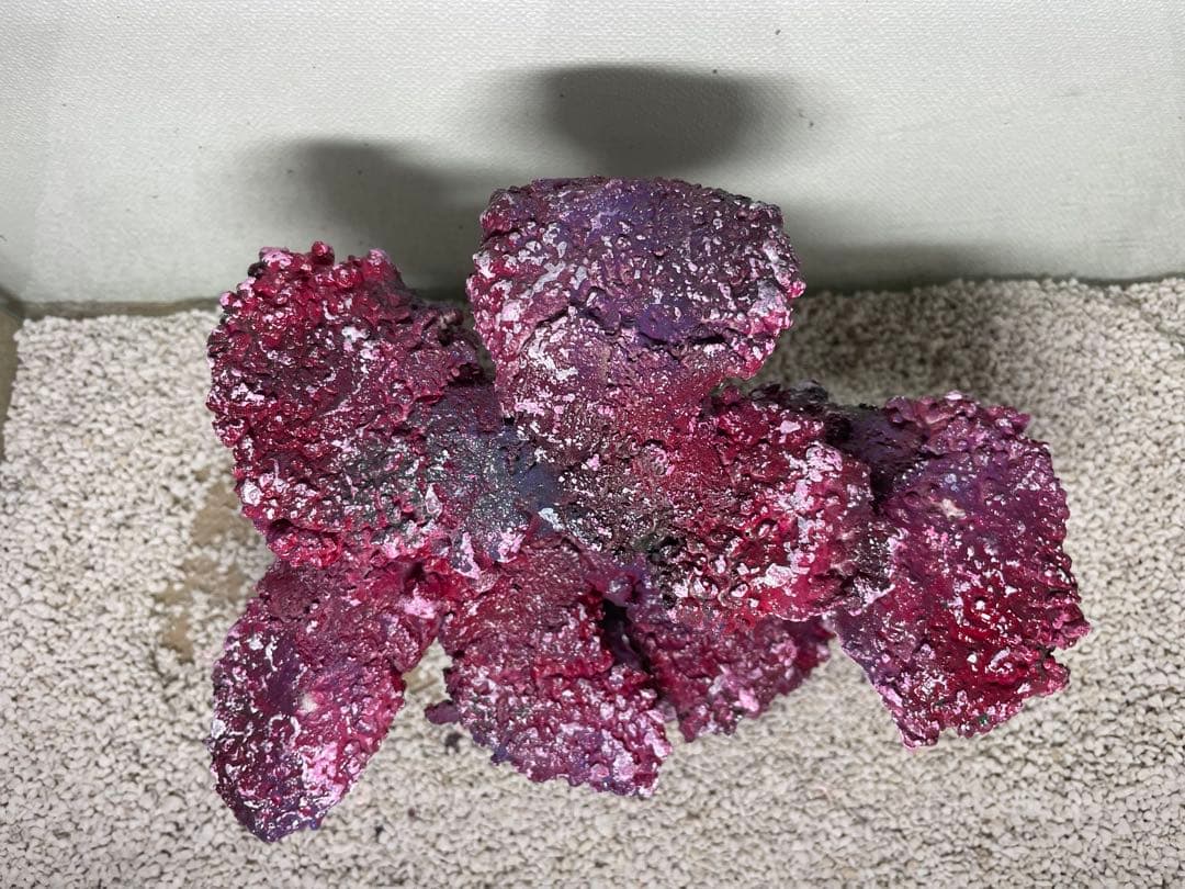 人工ライブロック　SHR34 アク抜き済み安心塗料使用