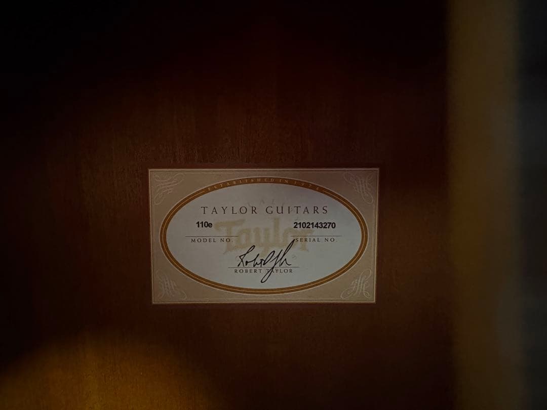 Taylor アコースティックギター 110eギターケース付き