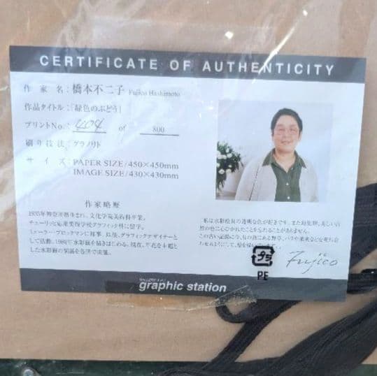 【未使用】橋本不二子　緑色のぶどう グラノリト 404/800