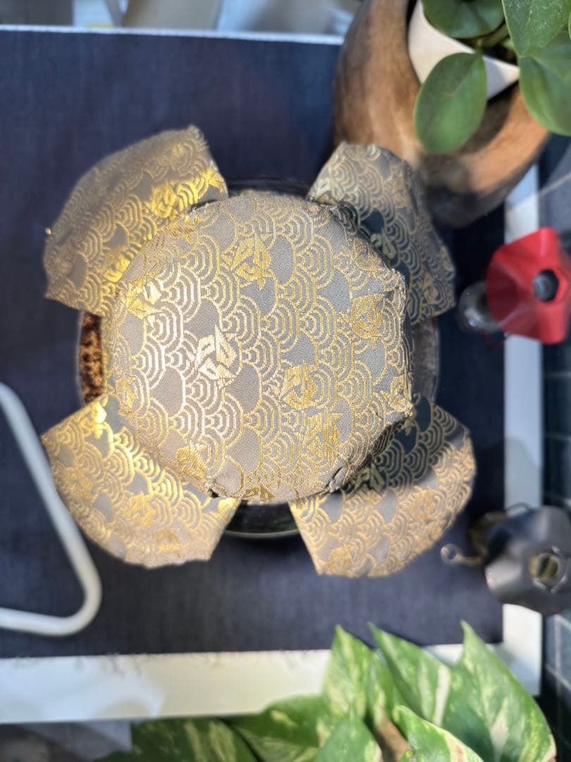 名工【加藤健】源九郎窯 志野茶入 飾壷 完品 網仕覆付 茶道具 時代 骨董 逸品