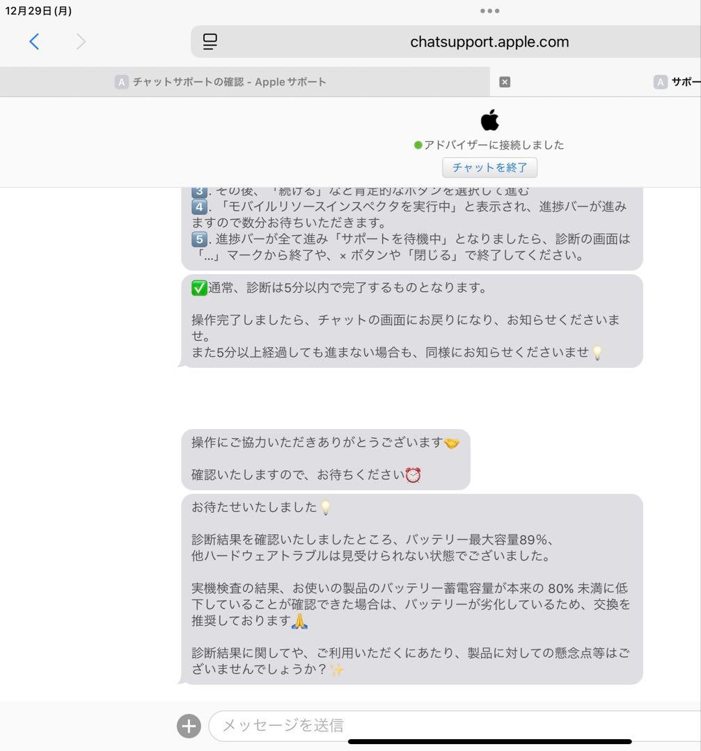 iPad Pro 11インチ　第一世代　256GB Wi-Fiモデル　Apple