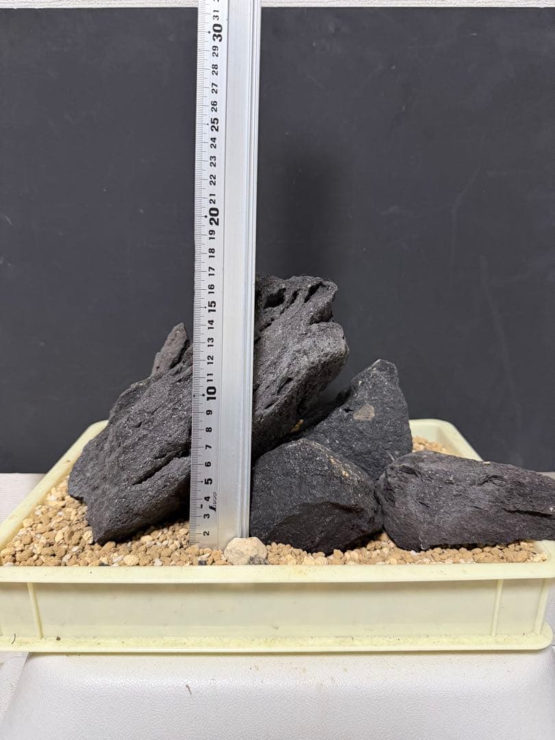 ⑦-7 ADA山水石 組み合わせ！これオススメ！