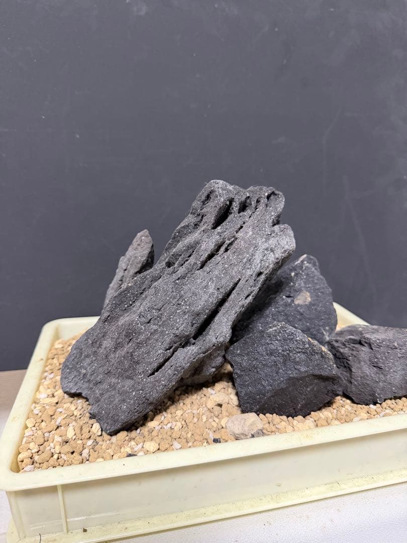 ⑦-7 ADA山水石 組み合わせ！これオススメ！