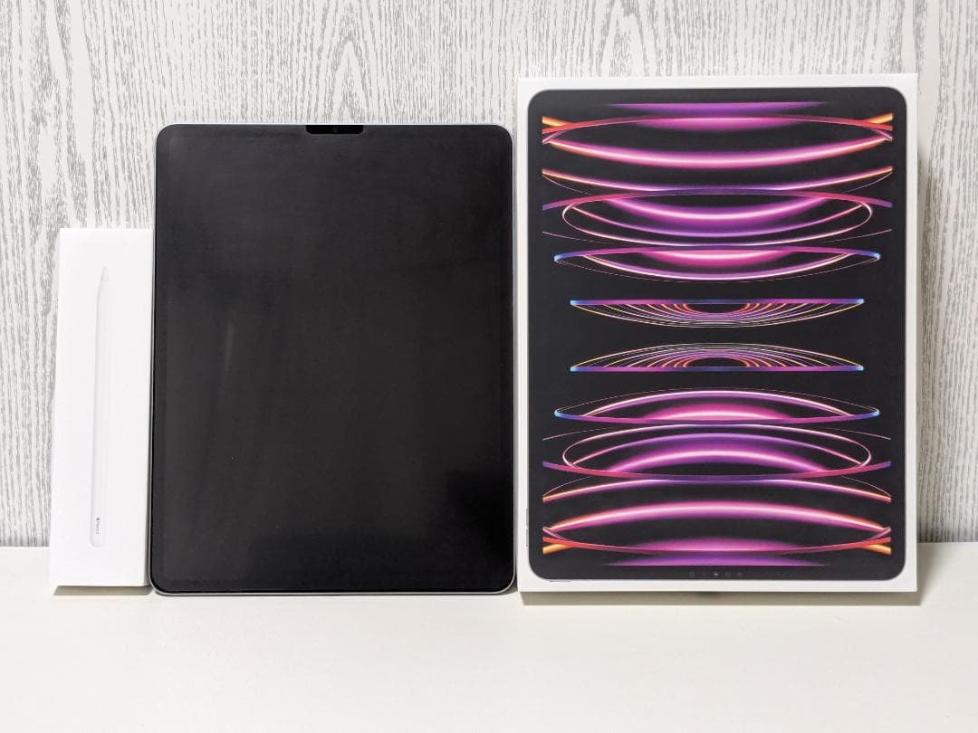 iPad Pro 12.9 第6世代 256GB MNXR3J/A + ペン付き