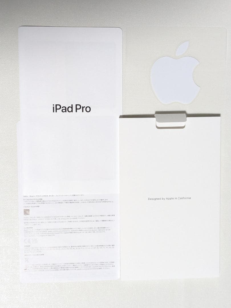 iPad Pro 12.9 第6世代 256GB MNXR3J/A + ペン付き