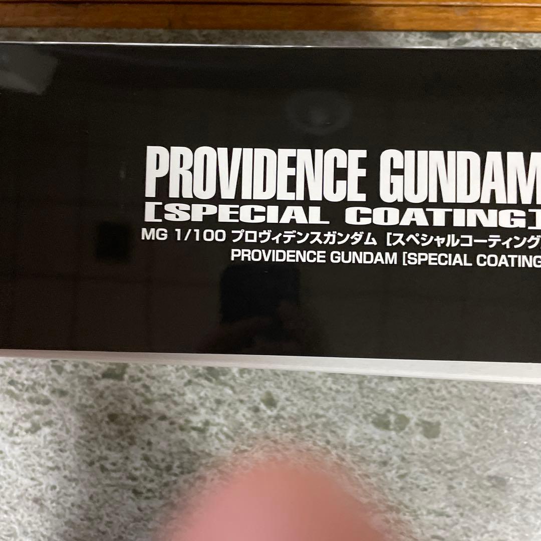ＭＧ 1/100 プロヴィデンスガンダム 　スペシャルコーティング