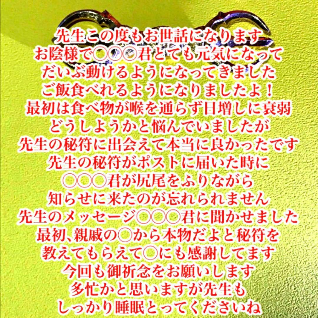 特殊ブレスレット(トレジャーハンター)天然石　心　癒し　精神守護　お守り