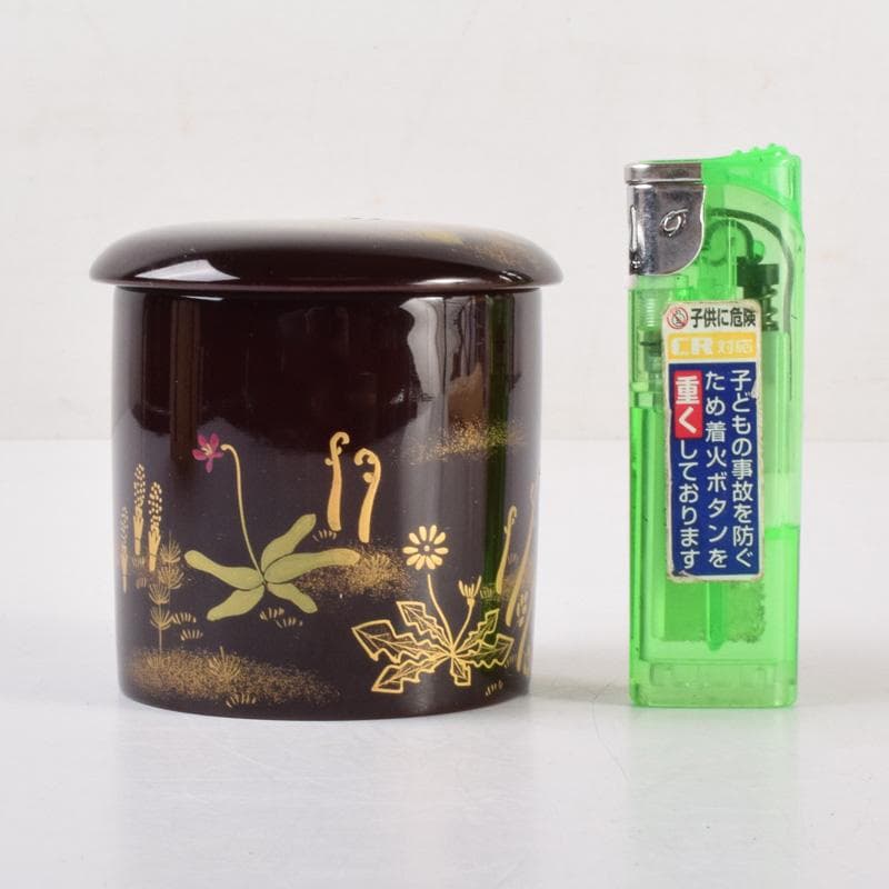 茶道具　輪島塗　元岡清斉作　春草蒔絵　金輪寺棗　共箱　V　7203