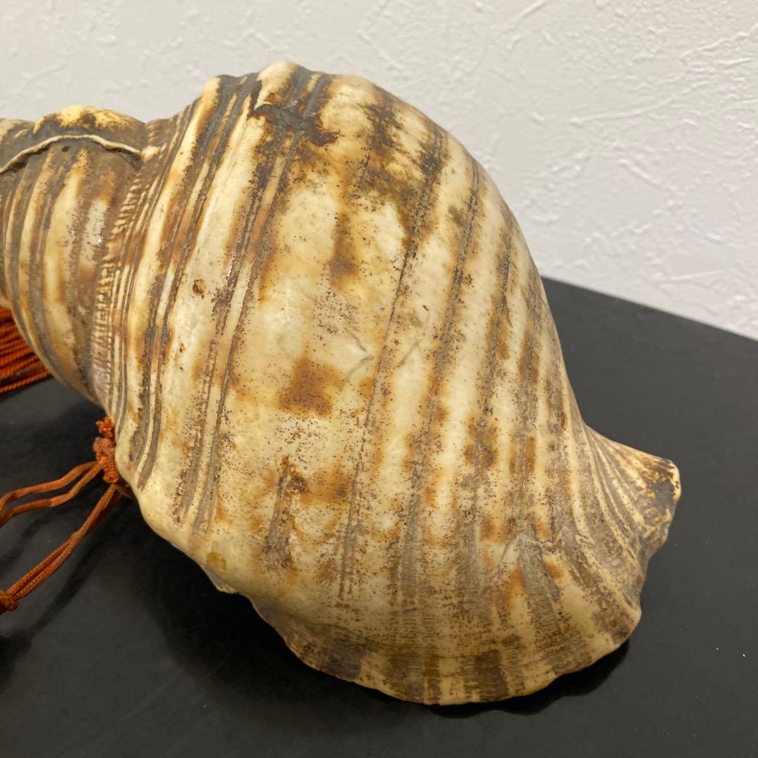 時代物 法螺貝 密教法具 武具 甲冑