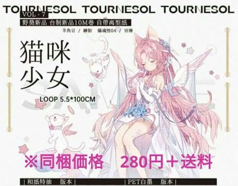 ✩再販✩J43＃猫咪少女(PET)野葵 切り売り海外人物マステ女の子ネコ耳