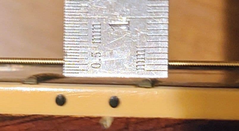 YAMAHA L-8【後期型】ハードケース付