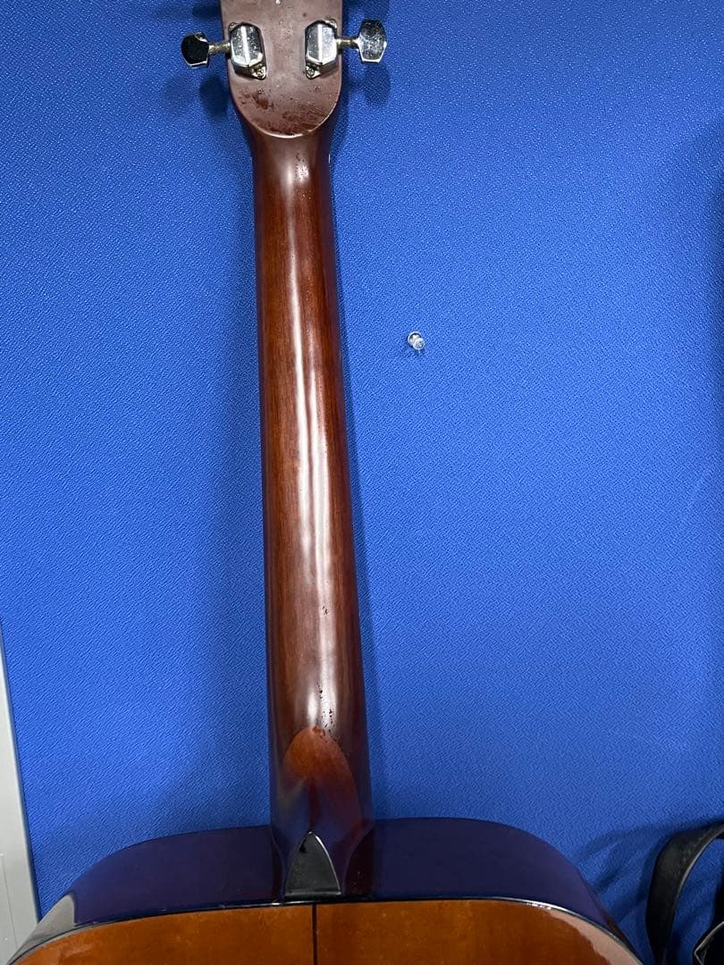 Morris モーリス　アコースティックギター MD-501 ドレッドノート