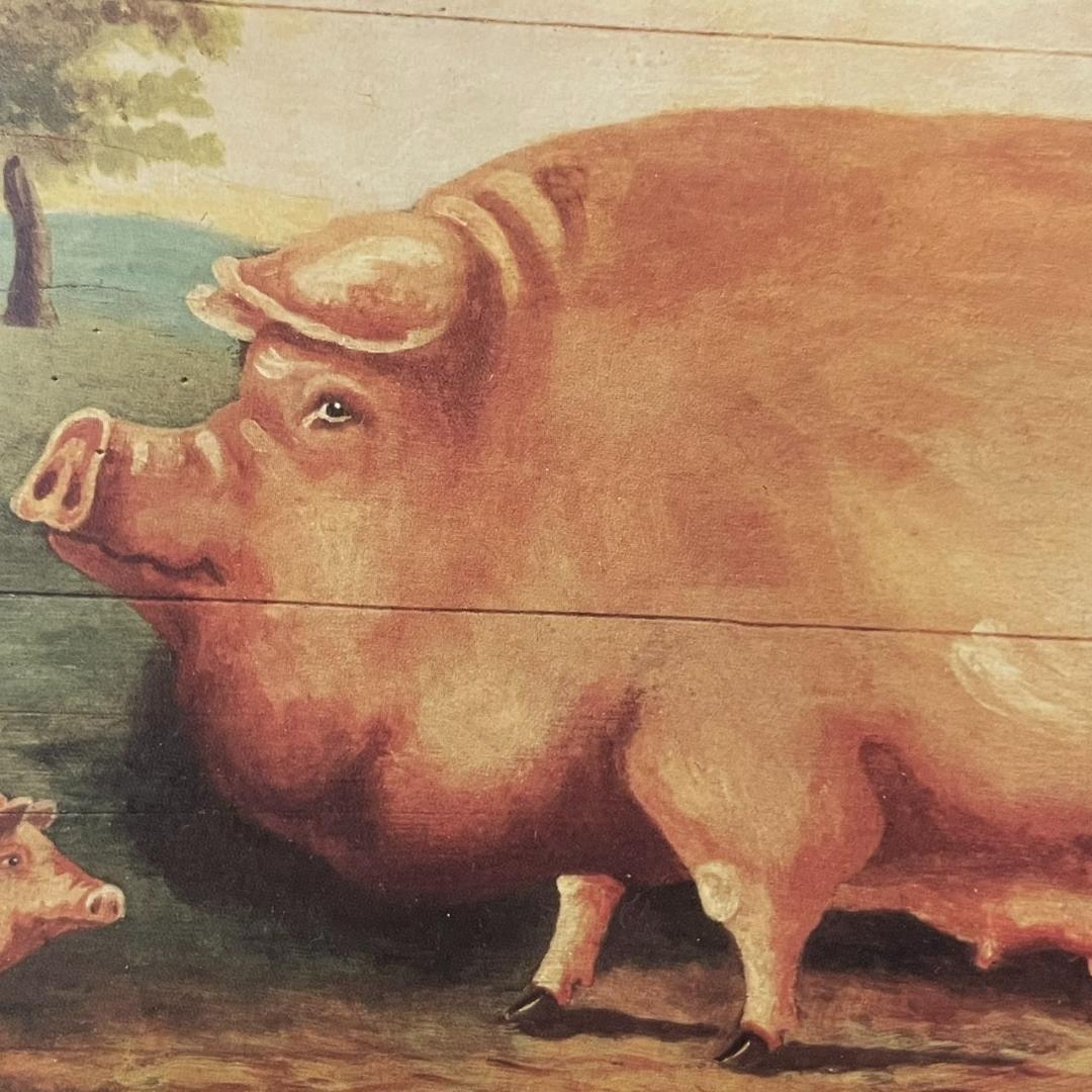 イギリス購入★木製額入り絵 PIG & SHEEP