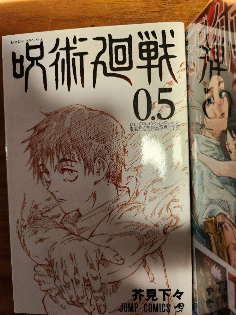 呪術廻戦 全巻セット +公式ファンブック　呪術廻戦0.５巻