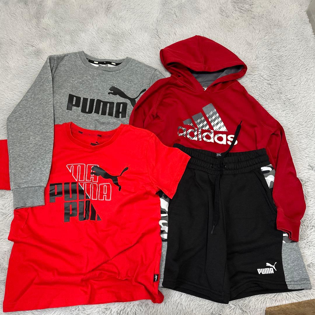 ⭐︎しのぶ⭐︎　まとめ売り