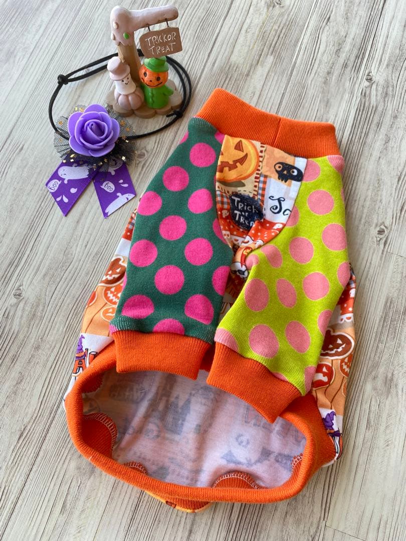 犬服  ラグラン(Ｓ)   ꒡̈⃝Lily꒡̈⃝ハンドメイド