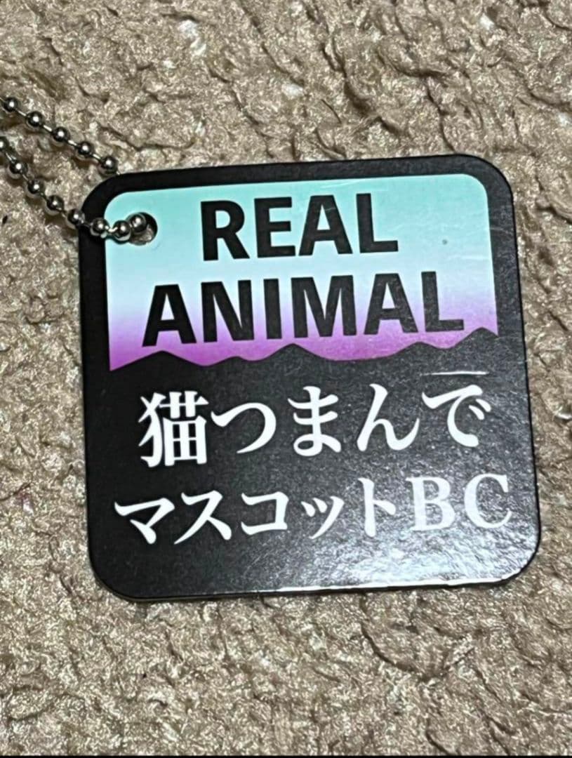 リアル猫 リアルアニマル猫つまんでマスコットBC 猫ぬいぐるみ　２個　セット