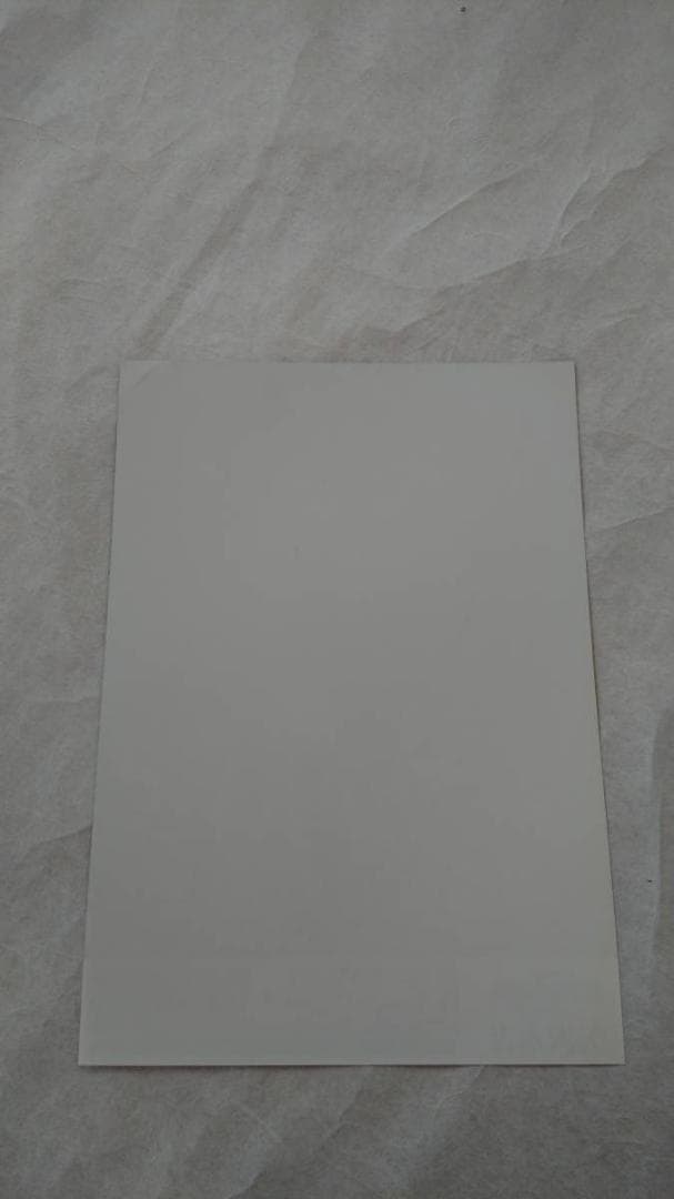 ★矢沢永吉・2010年・新潟県民会館・上越・富山・本多の森・B5サイズチラシ