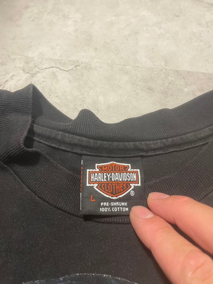 レア！90sヴィンテージハーレーTシャツ！パンサー