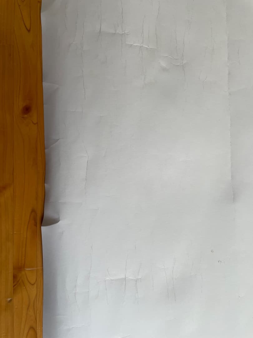 FREEDOM-フリーダム- B2サイズポスター2枚セット　大友克洋　AKIRA