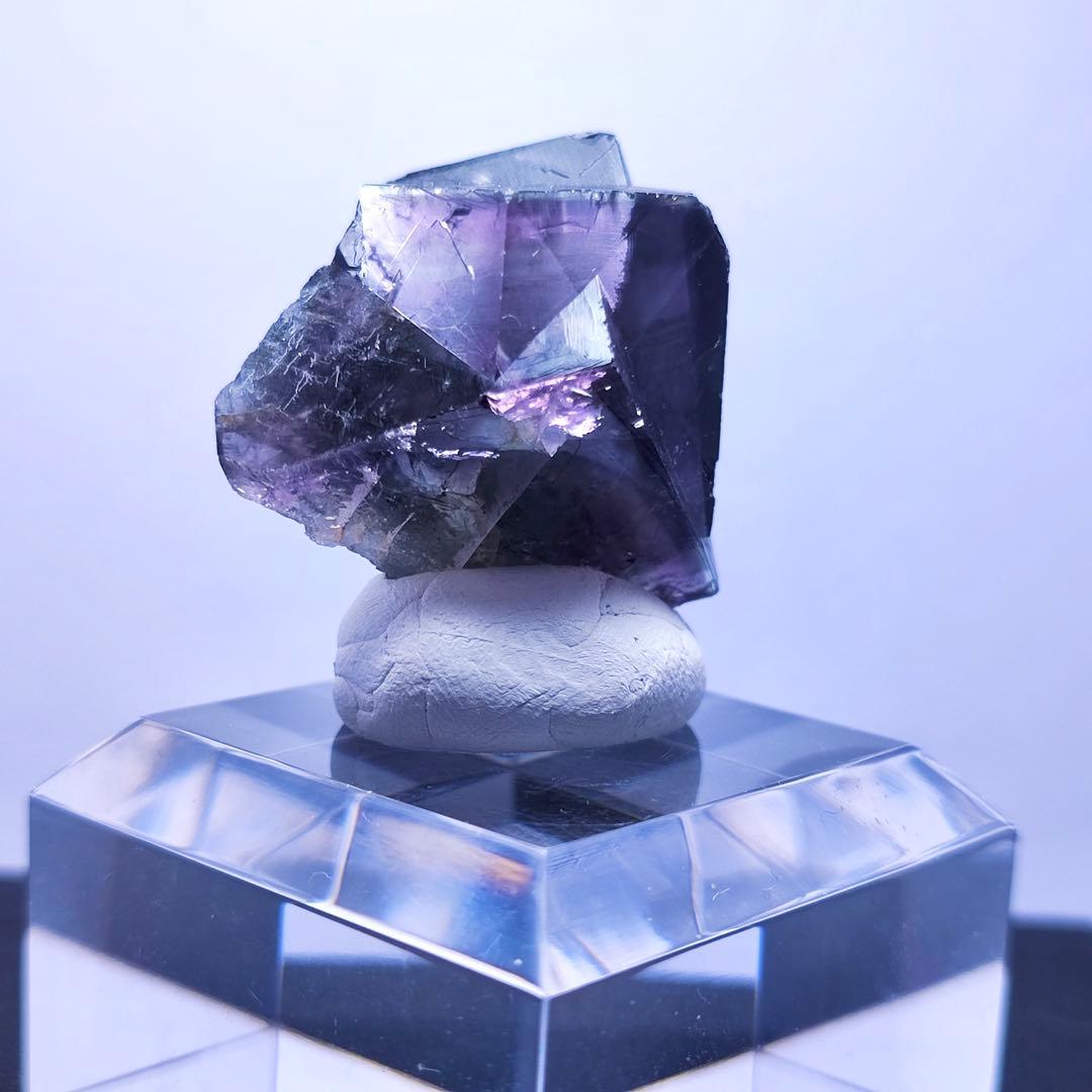 140 UK レディアナベラ Purple Rain Pocket フローライト