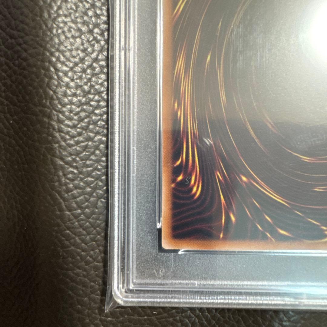 誇りと魂の龍 (psa10)