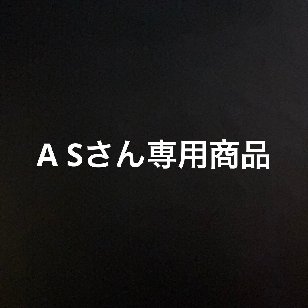 ASさん専用　　安全帯5セット